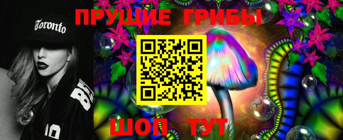 Ейск  Псилоцибиновые грибы Magic Shrooms  Вход с VPN  Псилоцибиновые грибы MAGIC MUSHROOMS 